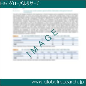 グローバルリサーチ調査レポートのイメージ